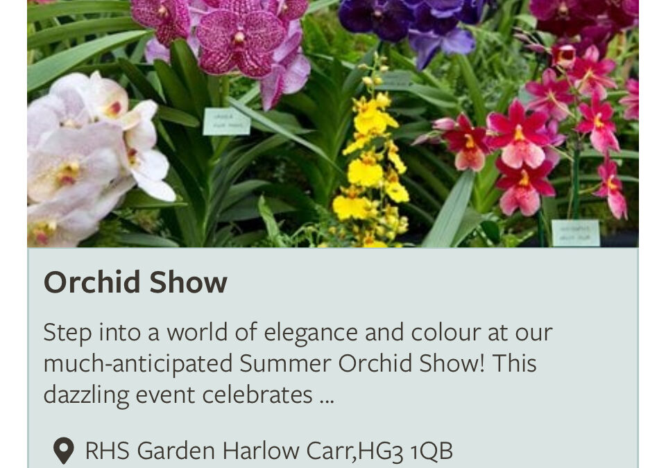 RHS Harlow Carr Orchids for Everyone Weekend