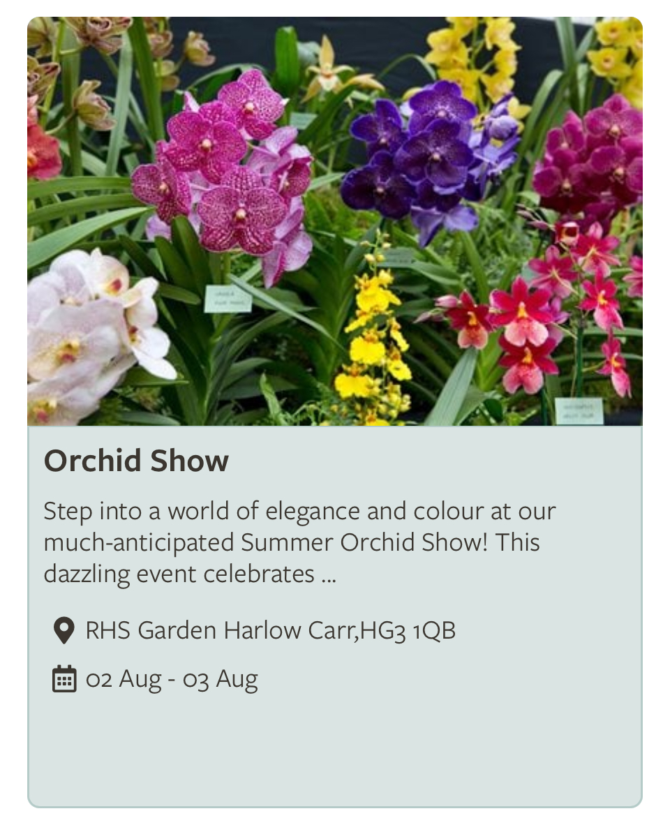 Orchid Show Advert