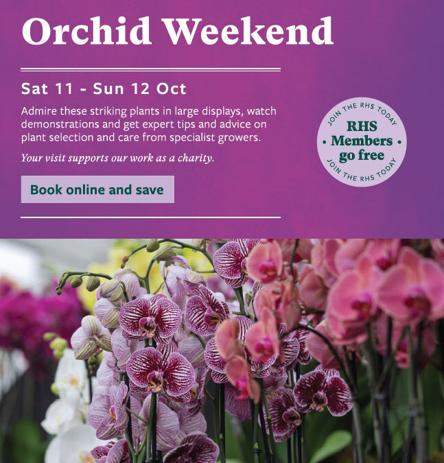 Devon Orchid Society Orchid Weekend
