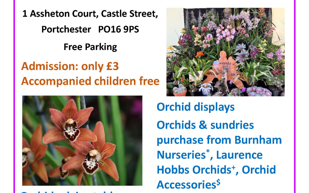 Wessex Orchid Society Autumn Show