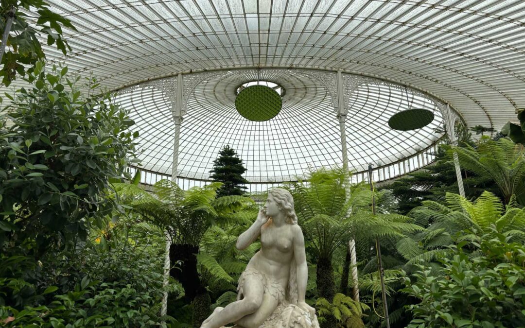 Glasgow Botanic Gardens Orchid Fair