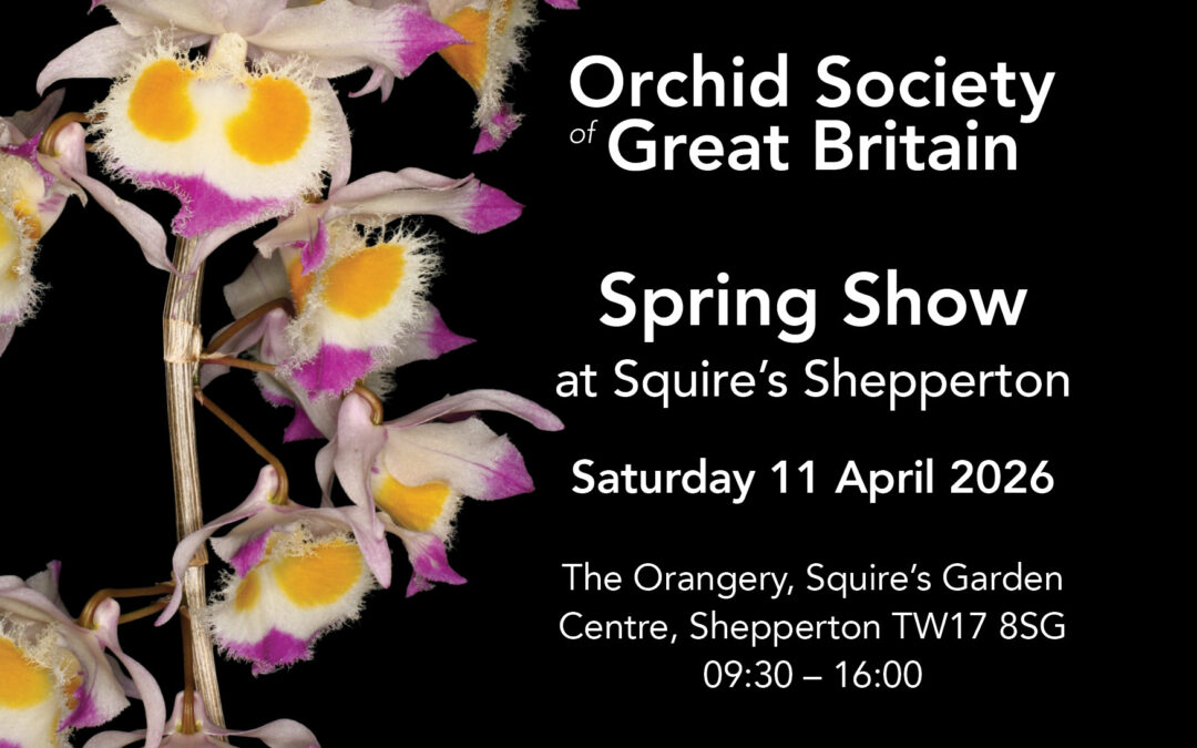 Orchid Society of Great Britain Spring Orchid Show