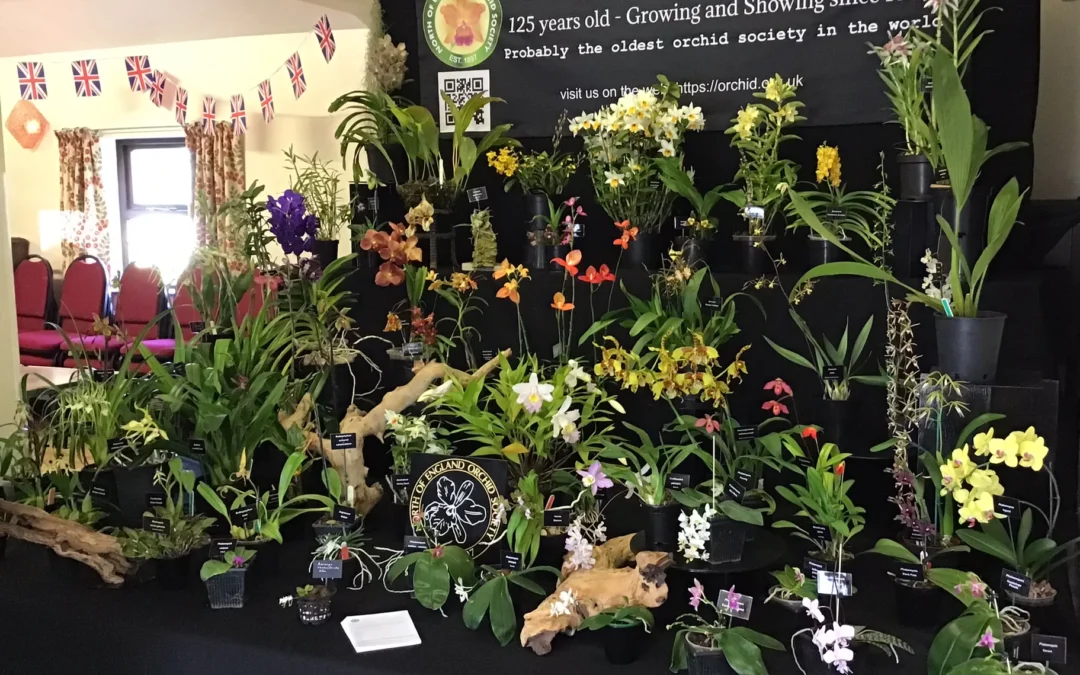 North of England Orchid Society Annual Show