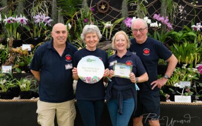 The International Orchid Show at BBC Gardeners’ World Live 2026