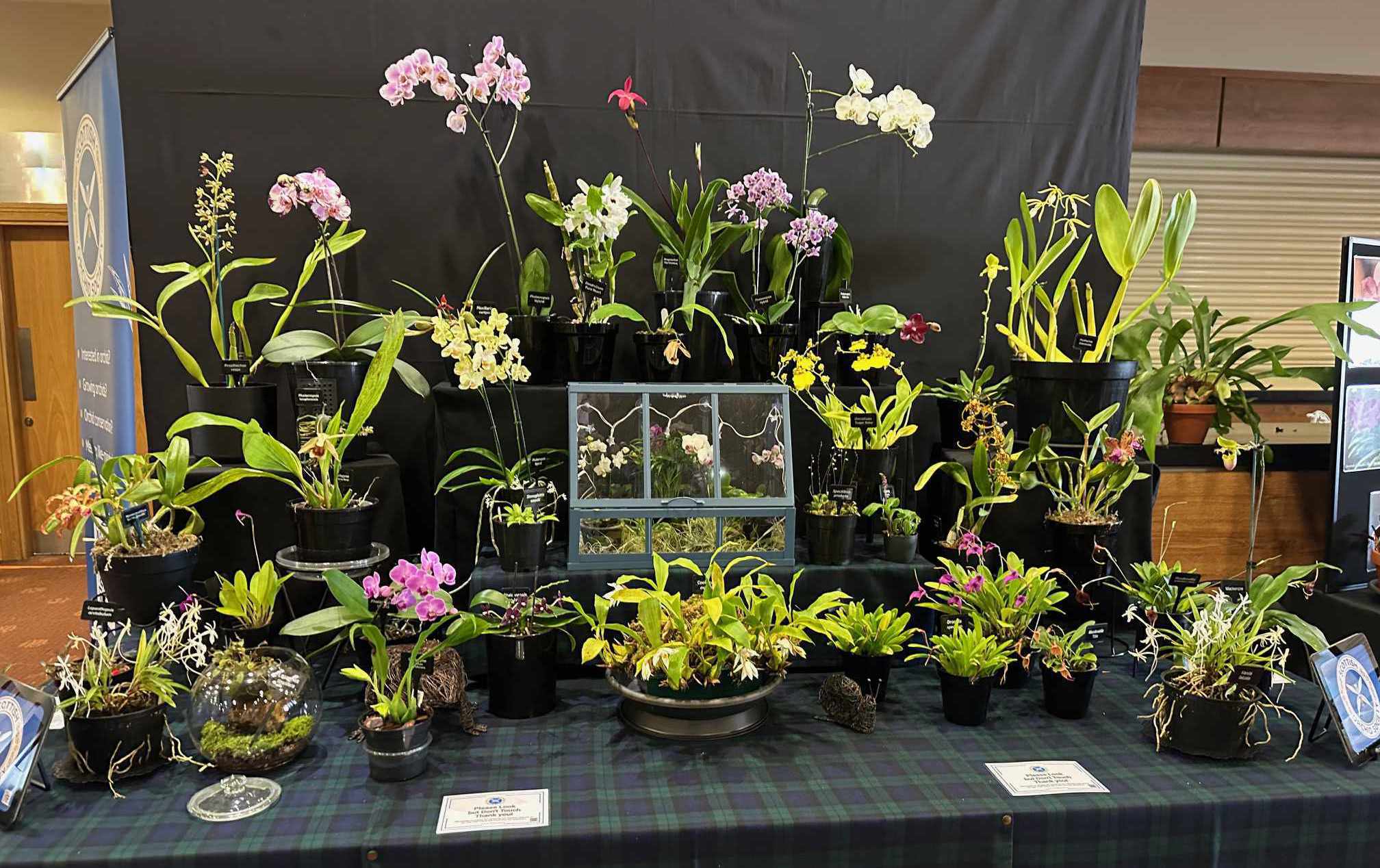Flower Display