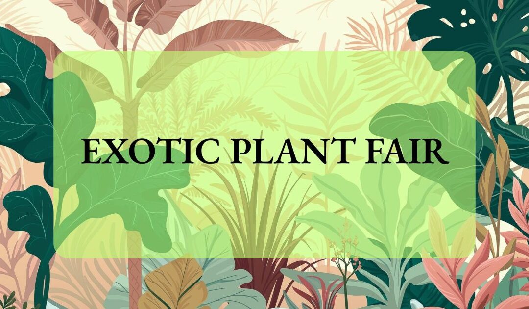 Exotic Plant Fair
