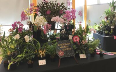 Harrogate SocietyAnnual Show, RHS Harlow Carr Garden