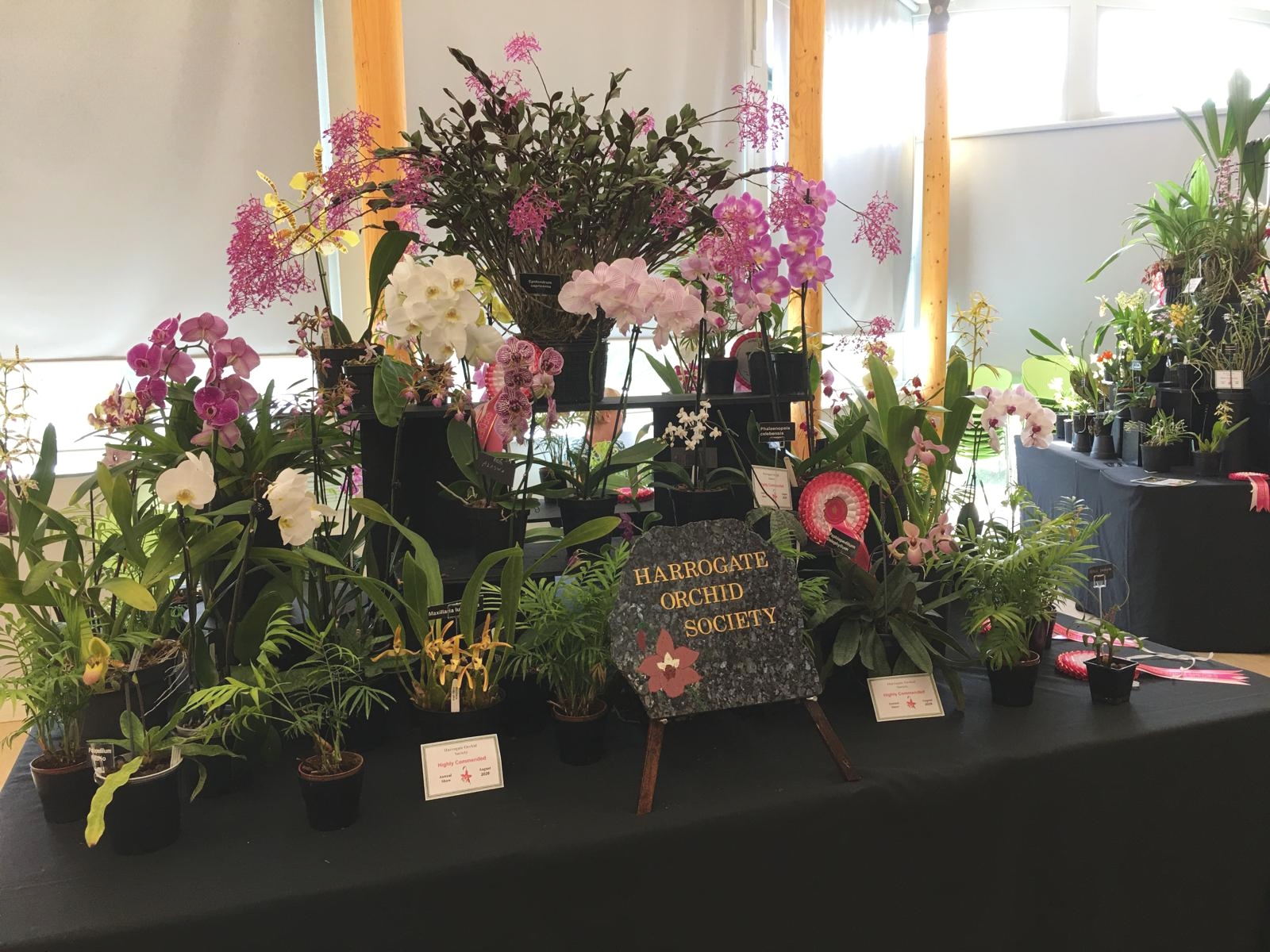 Harrogate Society Display