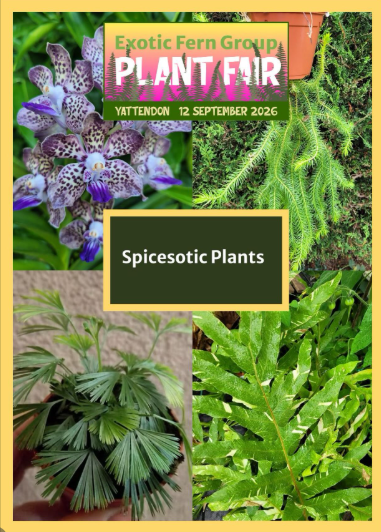 Spicesotic Plants at the Exotic Fern Group’s Plant Fair